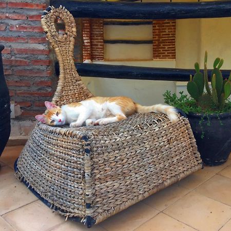 Riad Nejma Lounge Marakéš Exteriér fotografie