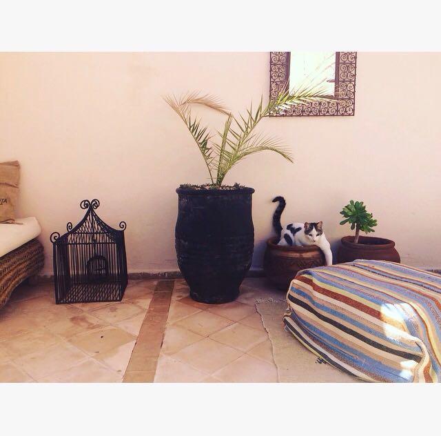 Riad Nejma Lounge Marakéš Exteriér fotografie