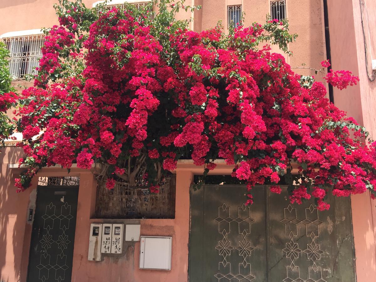 Riad Nejma Lounge Marakéš Exteriér fotografie