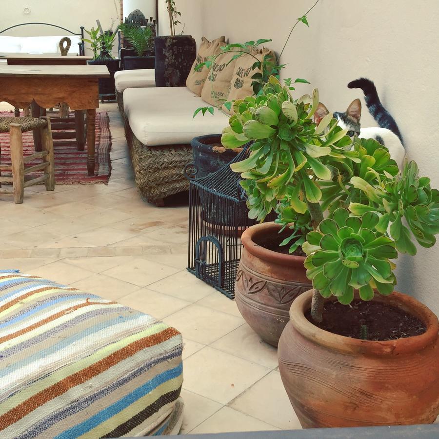 Riad Nejma Lounge Marakéš Exteriér fotografie